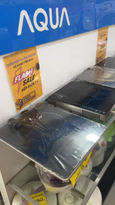 Bếp Điện Từ Panworld PW-861