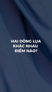 Ga Giường lụa Tencel 100s 1m6x2m và 1m8x2m màu trơn bo chun Cao Cấp À Ơi Concept không xù lông trơn mượt thoáng mát Home Bedding