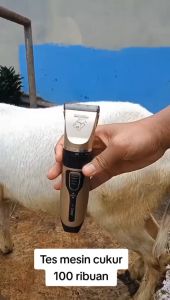 COD BaoRun PRO Alat Cukur Elektrik Bulu Hewan Pet Rechargeable - K5 / Bulu Hewan Pet Rechargeable Mesin cukur hewan kambing bulu domba garut original di cas / alat cukur bulu domba super tajam / mesin potong rambut p2 p6 p7 s1 p9