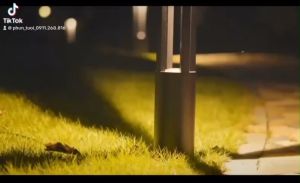 Đèn LED Sân Cỏ Chống Nước IP65 Ngoài Trời Đèn Sân Cỏ Cảnh Quan Đường Dẫn Sân Vườn