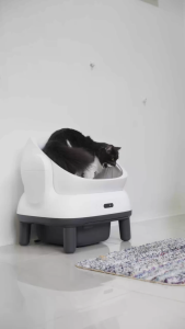 【NEW】PETREE Gen 5 “Corebox” Automatic Self-Cleaning Cat Litter Box | Tandas Kucing Automatik