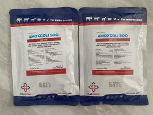 1 Gói Amoxcoli 500 100g Phòng Và Xử Lý Các Bệnh Viêm Ruột Thương Hàn Tụ Huyết Trùng E.coli Viêm Phổi Ở Gà Ngan Vịt Heo Và Gia súc