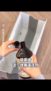 Lycocelle Multipurpose Floor Cleaner / Anti-Bacterial Anti-Fungi Baby Pet Safe Cleaner / Table Cleaner / Fridge Cleaner