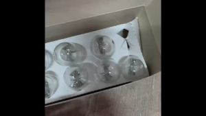 หลอดไฟเสียบ T20 12V 21W รุ่น 1ไส้ PHYLLIS อย่างดี หลอดไฟเลี้ยว สั่งเบิกโดยตรง/BTNKP