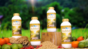 TV Direct - [2 แถม 2] ดินดี ต้นดี สูตรแก้ดิน จุลินทรีย์ธรรมชาติ กู้ดินเสื่อม ปรับดินเสีย 1 ลิตร