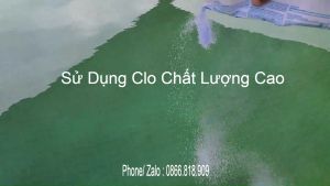 1 Kg Clo Nhật - Chlorine 70% Xử Lý Nước Hồ Bơi Và Sinh Hoạt Thiết Bị Làm Sạch Nước Hồ Bơi - Lazada