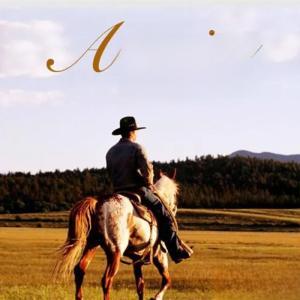 Classic Country Folk 500 Miles MP3 Music USB Drive Lossless Sound Quality 380 English Songs for Car Entertainment