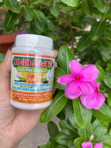 Phân bón 10-30-20+ TE kích thích ra hoa  ra nhiều hoa  lâu tàn hũ 100gram