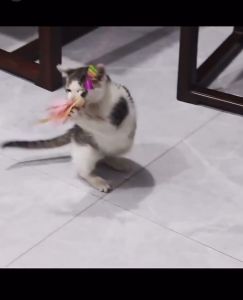 Feather Bell and Ring