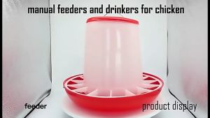 1.5L Chick Drinker & 1.5kgs Chick Feeder Set: Your Ultimate Chicken Feeding Solution