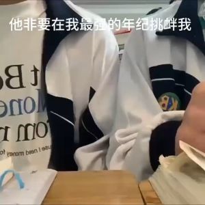 Boxing Husky plush animal hand puppet interactive gloves toy doll action figure