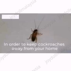 【 READY STOCK ] Green River Ant & Cockcroach Killing Bait Powder Semut Lipas Serbuk蚂蚁粉/蟑螂粉