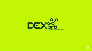 DEXPRO TIP - Thermal Insulating Powder 4KG - good for 20 to 26 liters of any paint.