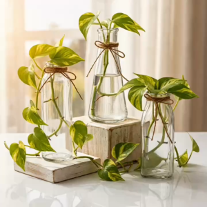 Bộ 3 Lọ Hoa Thủy Tinh Decor Cổ Ðiển Dáng Tròn Vuông Tam Giác Kèm Dây Thừng Trang Trí Nhà Cửa