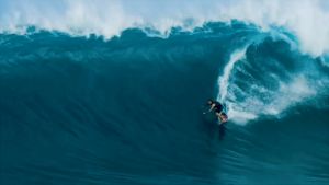 กระเป๋าโทรศัพท์กันน้ำซีลเอวแพ็คชายหาดเรือกีฬาว่ายน้ำซิป 3 ชั้นล็อคฝาครอบใต้น้ำ