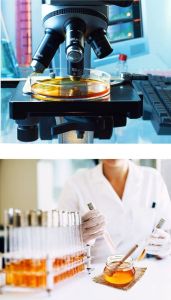 PROPOLIS LIGHT Bioteknologi Dalong Obat Herbal Jantung Pembuluh Diabetes Stroke Autoimun BPOM 10ml