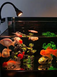 AquaPulse Aquarium USB Spotlight Plant Light 360° Adjustable Hose Clip Stream Tank Decoration & Algae Grow Light