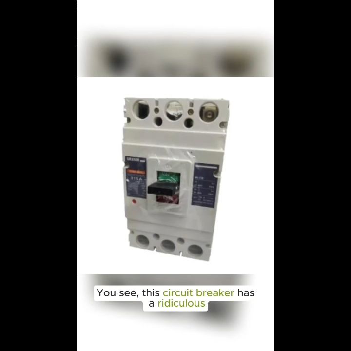 315A Industrial Circuit Breaker 3 Pole Three Phase 220V 50 KAIC (Sassin), Circuit Breakers