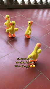 [Loại sạc & Pin] Vịt vàng Poka biết đi nhại giọng phát nhạc. Vịt nhảy múa nhại tiếng vui nhộn cho bé