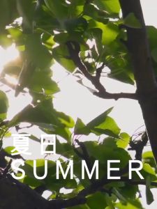 Sunisa Whitening Sunscreen SPF 50 Spray 150ml | Whitening Sunscreen Spray Moisturizing Spray Original Skin Care Sunblock