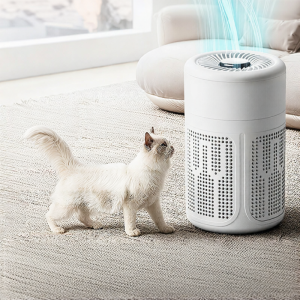 Small Desktop Air Purifier for Office Use Removes Formaldehyde And Odors Effective in Car And Home Environments with HEPA And Activated Carbon Filter