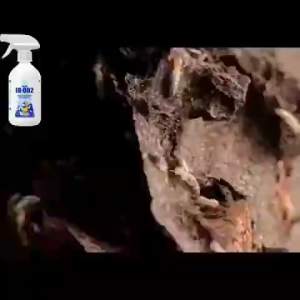 Termite killer 500ml anay killer spray anti bait x control termites powder 【No termites within 1000m】