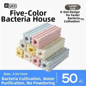 Yee | Biochemical Nitrogen Cycle Cultivation Nitrifying Bacteria Filter House