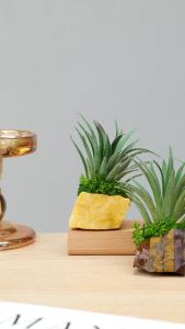 1PC Natural Raw Crystal Artificial Tillandsia Fish Tank Landscaping Simulated Plant Decor Aquarium Ornaments