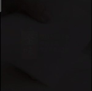 KULIT PANGSIT/WONTON DIMSUM 10CM ISI 35PCS / TEKSTUR LENTUR DAN TIPIS / COCOK UNTUK REBUS DAN GORENG