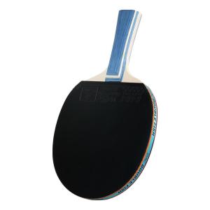Double Fish | High Elasticity Beginner Table Tennis Paddle