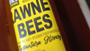 RAW Honey Rawney Bees Madu Nektar Kaliandra Asli Murni 250 ML Botol Kaca