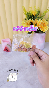Hamtoro Waffle Snack Hamster Sugar Glider / Makanan Hamster Buah Asli