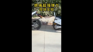 Tali Ikat Barang Getah 1.8M untuk Motor dan Basikal Tali Bungee Elastik dengan Cangkuk untuk Ikat Luggage Kuat
