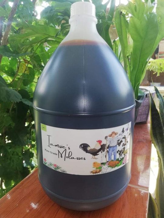 Molasses 1 Gallon Pure Grade 5kg Lazada PH