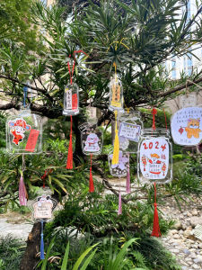 Handmade Outdoor Wish Card Hanger Plant Name Tag Display Decorative Hanging Label Self Adhesive Sticker Transparent Bottle Wish Card for Kindergarten