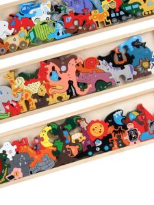 Focus Training Educational Puzzle Toys