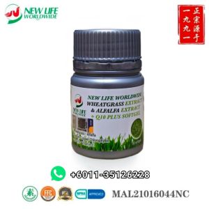 New Life 小麦草与苜蓿芽+Q10 (30粒装/Softgels) Wheatgrass & Alfalfa Extract+ Q10