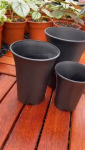 【BIG】Round Thick Tall Plastic Pots  succulent pot cactus flower pot 圆形 万象盆 花盆万象盆 多肉花盆 植物花盆 花盆 塑料盆 盆 小花盆 彩色花盆