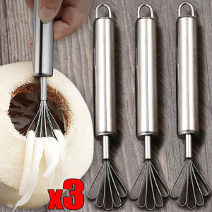 3Pcs Stainless Steel Coconut Grater Wiping Silk Coconut Meat Scraper Grater Fish Scale Planer Home Kitchen Fish Scale Scraping Tools