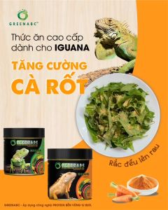 Thức ăn bò sát Iguana Baby GREENABC vị Cà Rốt cho Iguana từ mới nở cho đến 9x giúp tăng kích thước lên màu phòng chống MBD teo đuôi – Hộp 230g