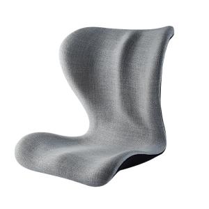 HELLOLEIBOO | Ergonomic Back Support Cushion