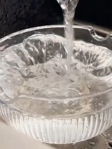 1pc Flowers and plants Kitchen Absorbent pad Dish Drying Mat diatomite place mat Tableware drying mat