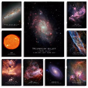 Jigsaw Puzzle for Adults 1000PCS-50X70CM Butterfly Nebula Space Artwork Mindful Game Stress Relief Decor Gift