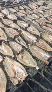 KHÔ CÁ MỐI TRẮNG CON TO - CHIÊN RIM ĐỀU NGON - TÚ VY FOOD