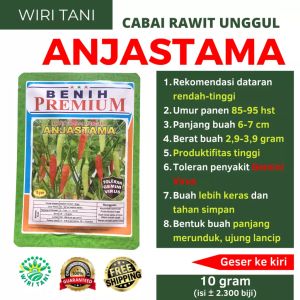 Benih Cabai ANJASTAMA 10 gram (isi ± 2300 biji) | Benih Cabai Menggantung | Cabai Merunduk | Cabai Tahan Virus | Benih Cabai Lebat | Setipe cabe master rawit setan cabe viral salaan ponirun
