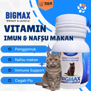 Vitamin Nafsu Makan Kucing Vitamin Penggemuk Vitamin Imun Vitamin Bulu Kucing Suplemen