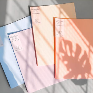 Morandi Aesthetic File Folder