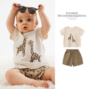 tinyclvb | Cute Breathable Summer Kids Set Short Sleeve and Shorts