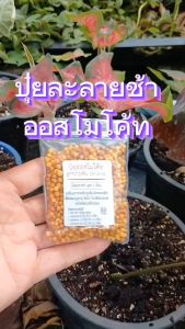 ปุ๋ยออสโมโค้ท (Osmocote) ขนาด 50 กรัม