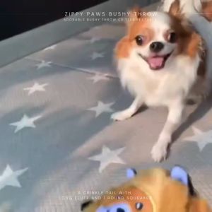 ZIPPYPAWS USA เล่นสุนัขพรีเมี่ยม บัชชี่ โทรล บีบ และมีเสียง สำหรับเล่นนอกจากอเมริกา